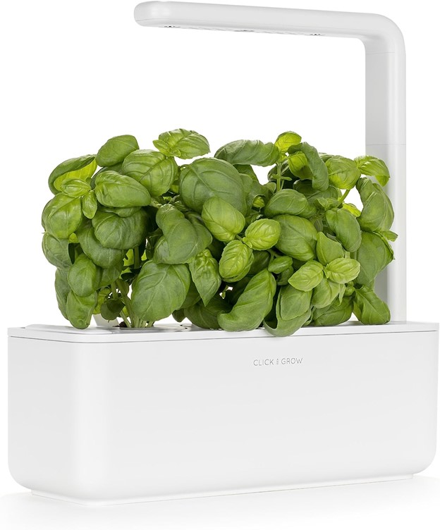 Click & Grow Herb Garden Kit